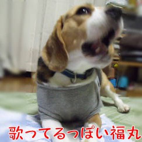 037e8f33 cc58 44f8 b265 772fb14c4e78 1723938303572