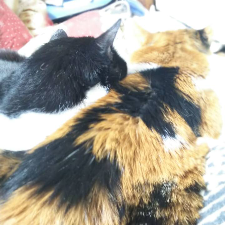 037e902f 3f06 462e 9637 55b0d17f9085 1547917532763