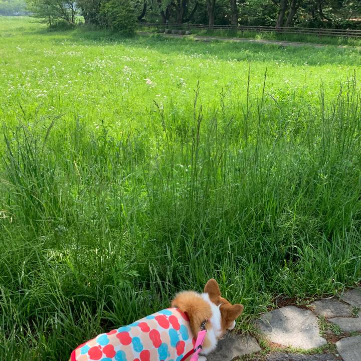 037ed6e7 7808 40ae b2b1 a3db6aae7355 1588470215045