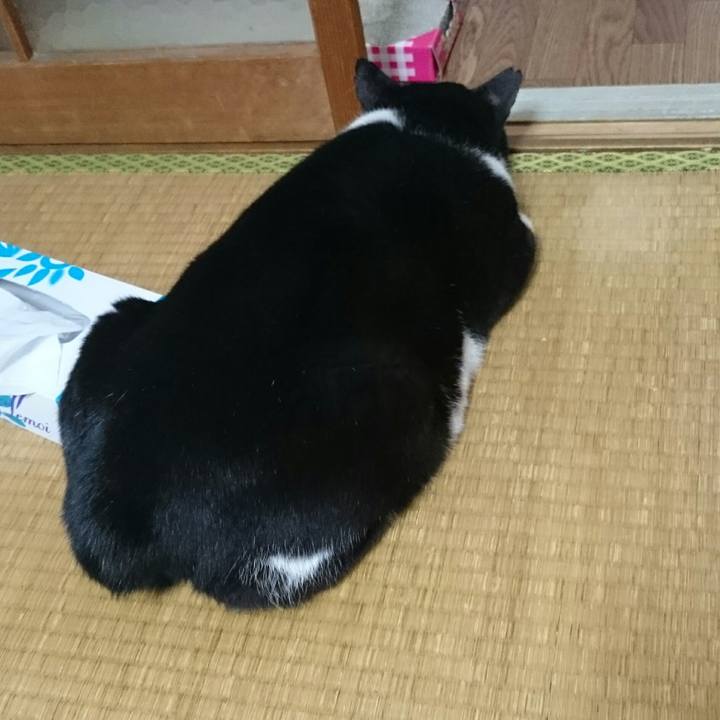 037effc6 d981 422d bbc9 1c152915d17c 1525078049624