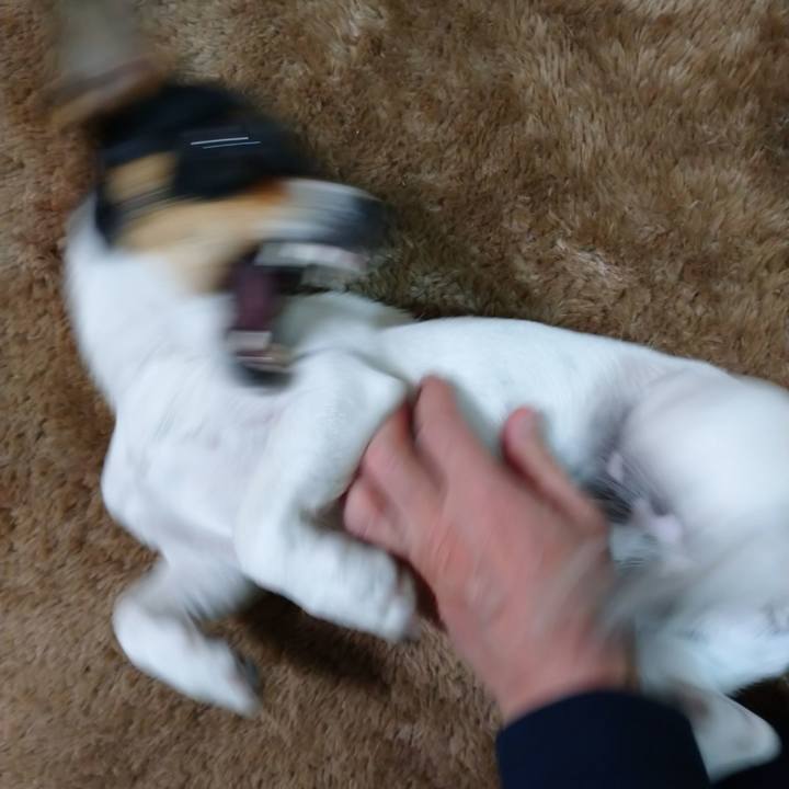 037f0b3d 2912 40ff 8388 d924ef6069a5 1580200435660