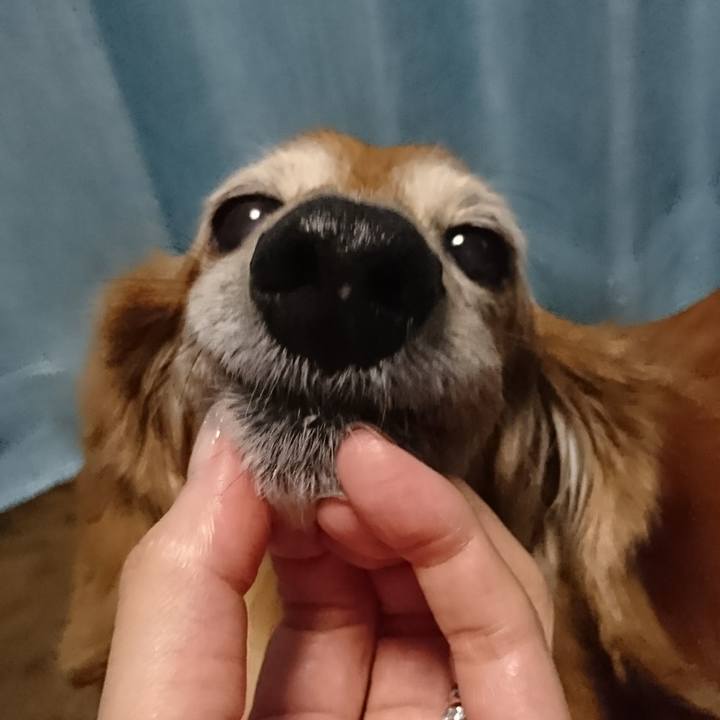 037f1644 e35f 4c99 85cc 5d5433434b3f 1513040676364