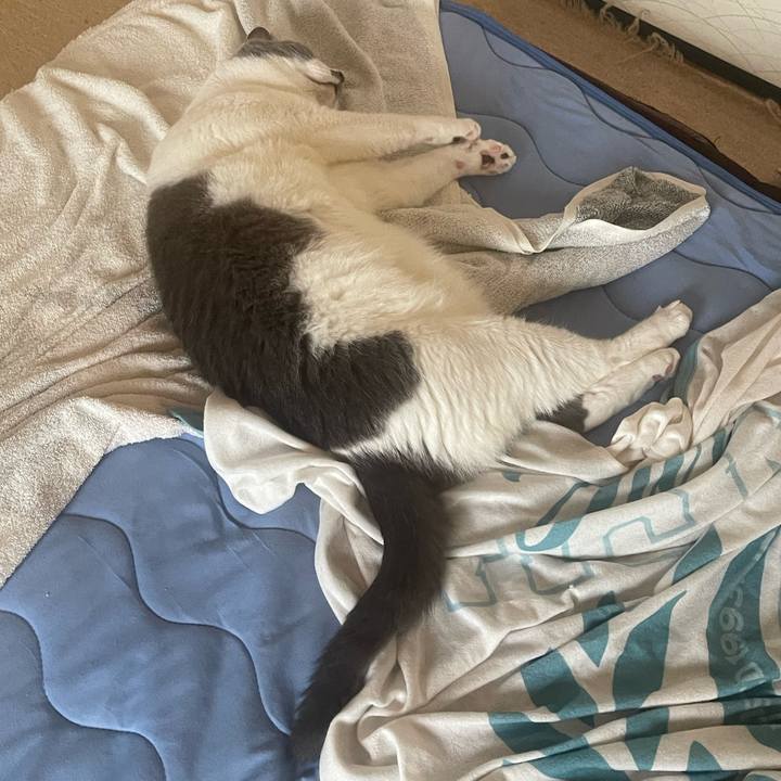 037f2f13 5093 460b 932d 72713d7ebe5b 1725150613272