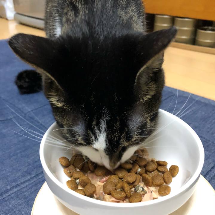 037f514f 97fc 472d 9c07 52fb5602e794 1527190034343