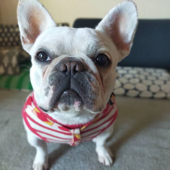 037f6ef7 058b 482c ad53 069644aff601 1637794282719