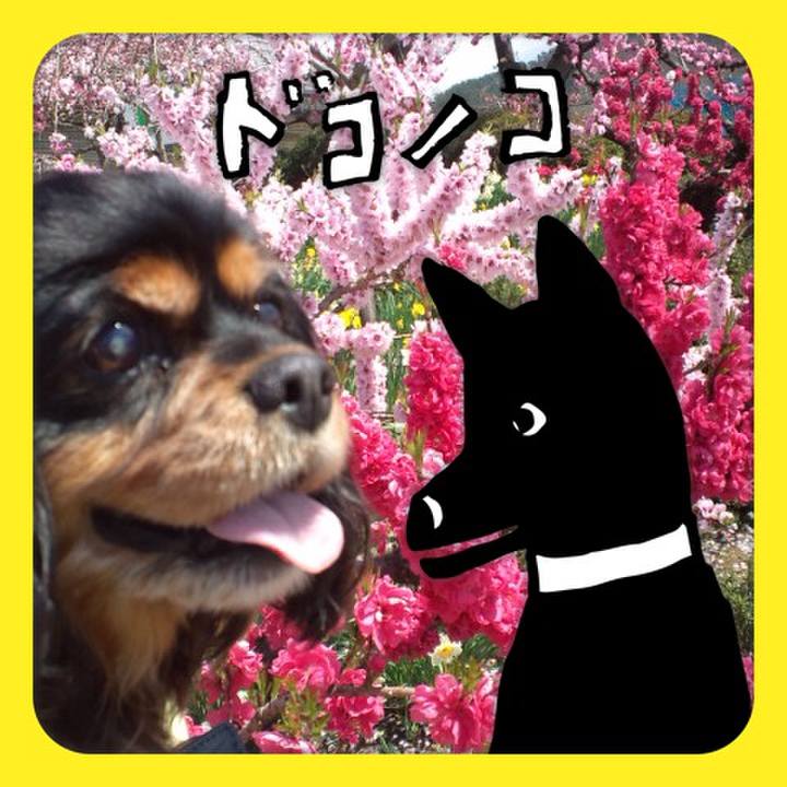 037f7539 c0c2 418c a4a5 4c3c3d09c7ab 1622880825919