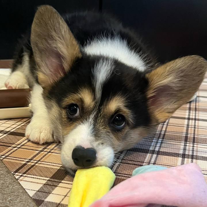 037f9b4f 7d8e 45d0 902d da2599ab2e95 1768693880725