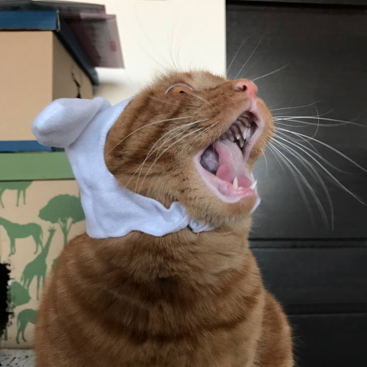 037f9c4d 42d0 4f2b b8b1 c1e5228005c3 1525005541869