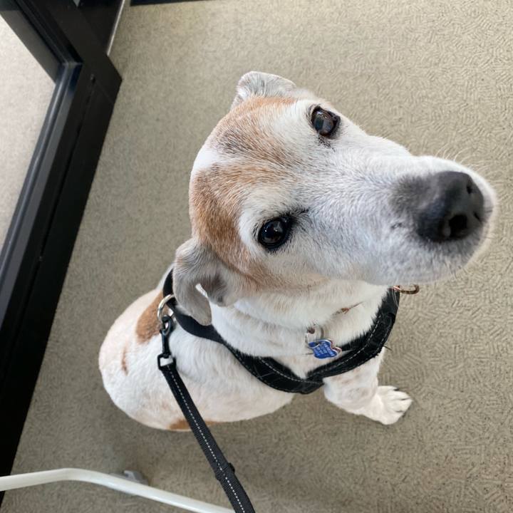 037fa409 6f92 4668 af8c 1caa6b165296 1639805783482