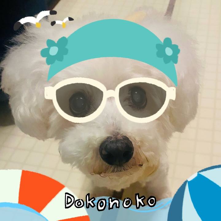 037fbb74 c678 45c2 8542 c29ce5fd1a79 1723175301402