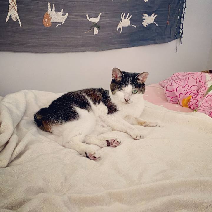 037fcf73 d2c0 4185 9c62 f634a7ba99a8 1623800051088