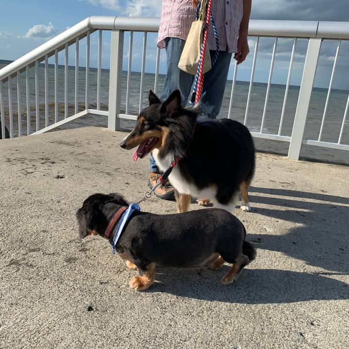 037feab9 bc39 4019 a7c5 5be2dcdca024 1600635980383