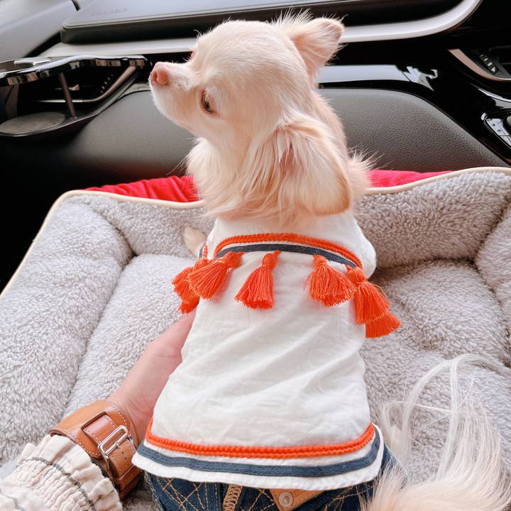 037fed21 8778 45c0 82a8 990be7623dd8 1652588223135