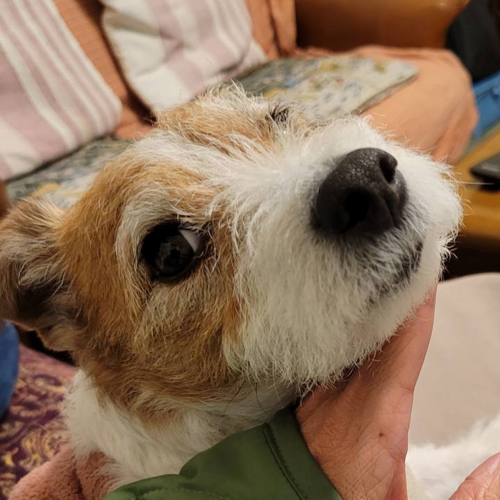 037ffdba 4e66 4e61 b447 fdb4d625e072 1743299780592