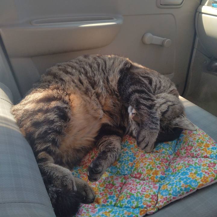 03802f31 1a0d 423f 89e5 0811d2230611 1683856954845