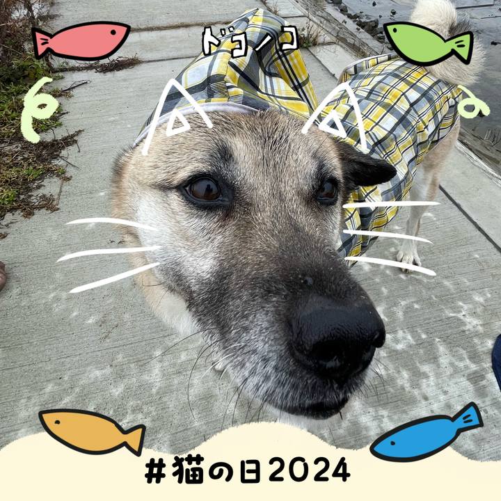 03804605 d5ec 452f 8b33 a21d0474f0e9 1708602733223