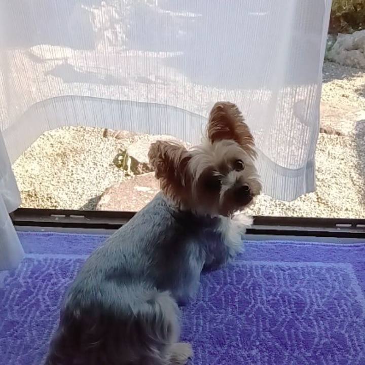 03808a03 4148 4093 9377 daa2294b6135 1760403998648