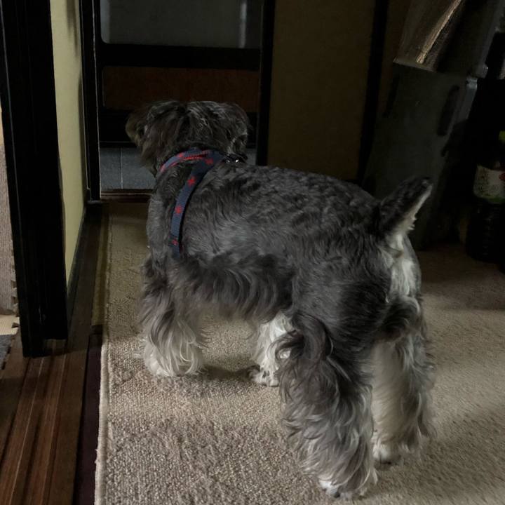 0380aae3 c76f 44b9 b8b0 d9e2c7746e20 1623446780495