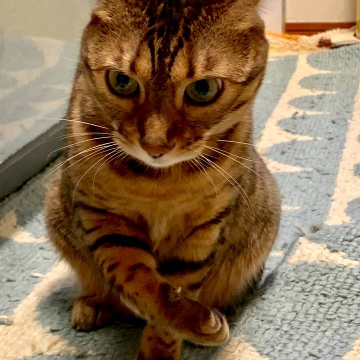 0380b36a 2901 4b59 b57a 8d57b3e816b1 1564438388141