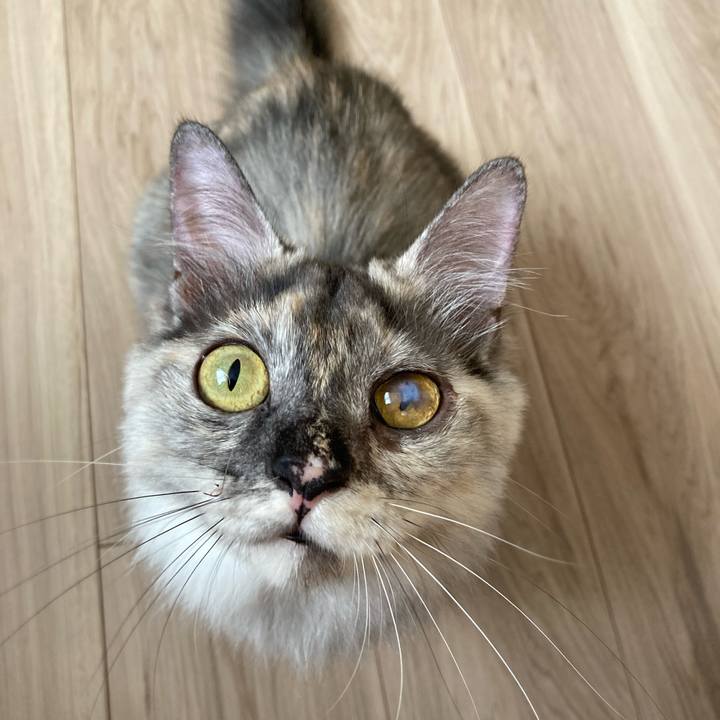 0380cbdd 0cee 4784 a81b 2b3c1b117330 1717894080591