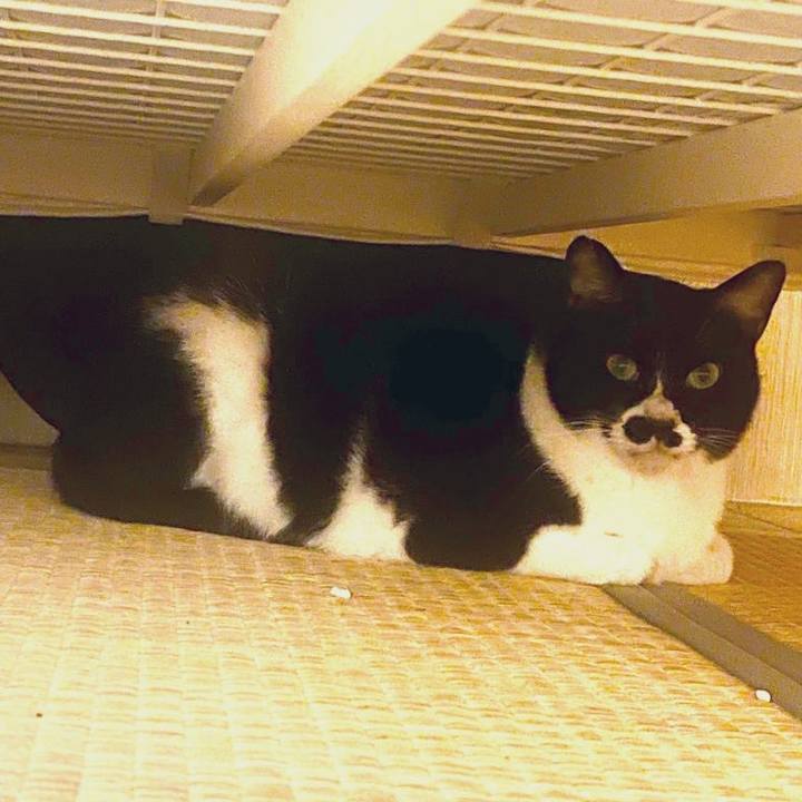 03811625 69d0 4045 b516 5c52c5c29545 1679392278863