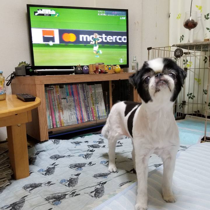 03812618 67cc 4954 8426 bfaec7fd96f5 1569066304996