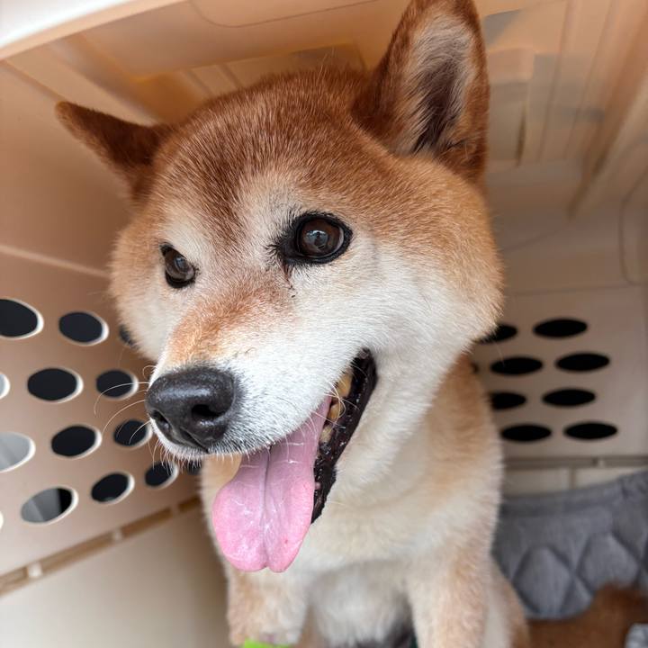 03814a64 a6a3 4780 bffc 9930a68ec443 1779442939944