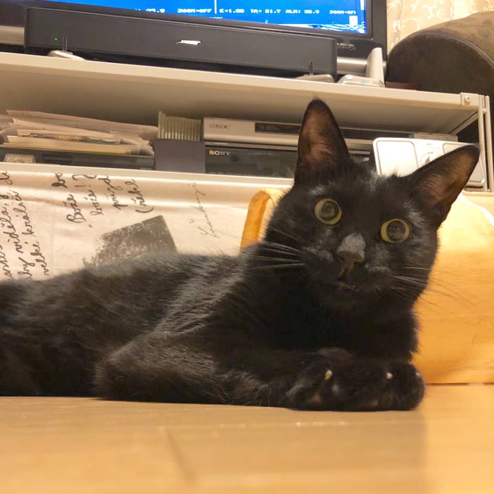 03814c6d 9dbe 4ba3 88bc b540bd8a0a91 1578580484510