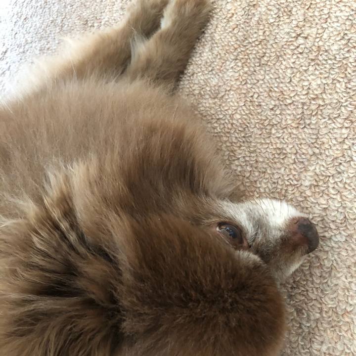 03817233 5548 4622 bb4c 08956ac6bad8 1623204000306