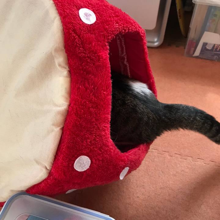 0381af4c 3471 499b a475 fab308e5c3b6 1535503643394