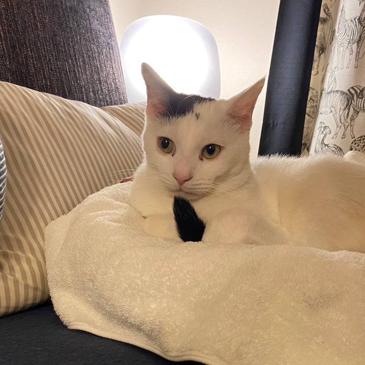 0381b858 4c91 4c09 9793 4324d020e0b4 1698101420347