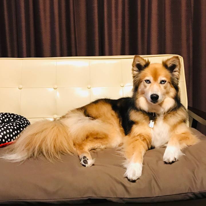 03824929 a586 4ded 836d 6b3c12f13284 1590407384341