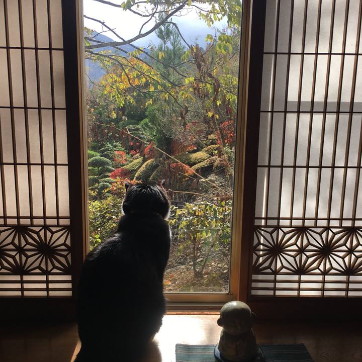 038254eb 71be 4f1b 825e adfd784de220 1509770336214