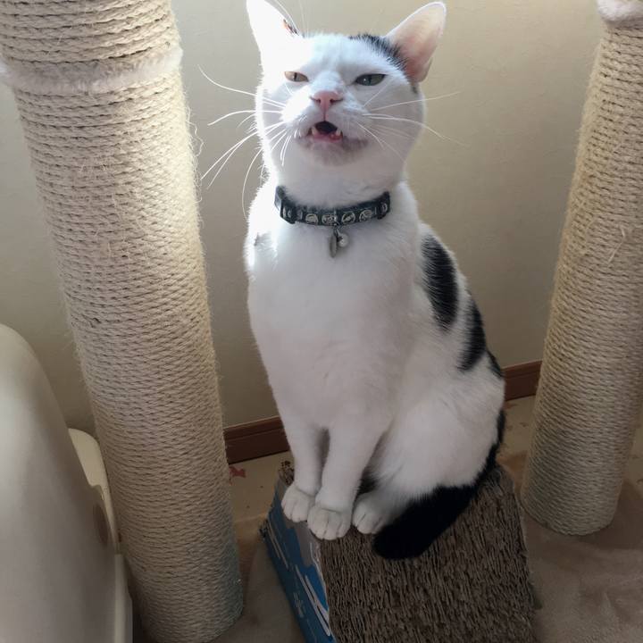 0382778d d100 42dc 97d2 44a9d00bbbcb 1520390307312