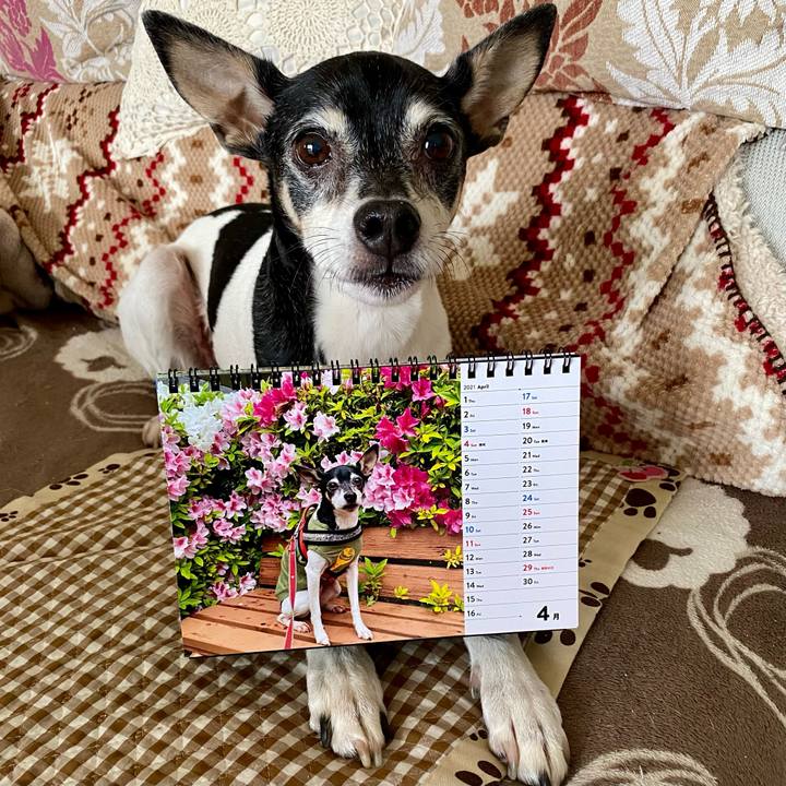 0382a666 6690 4b9f 9ee0 eec189d3cbbe 1617660395867