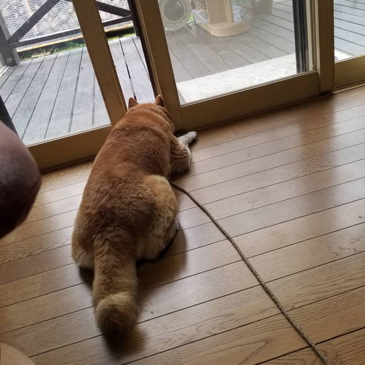 0382d809 d026 41dc 80b1 d3cf4622e3e7 1681690303966