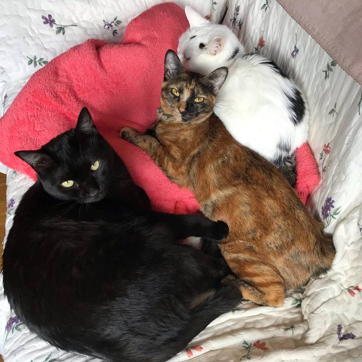 0382dfb0 9c59 4c5e a611 b65db498bb4d 1634532140471