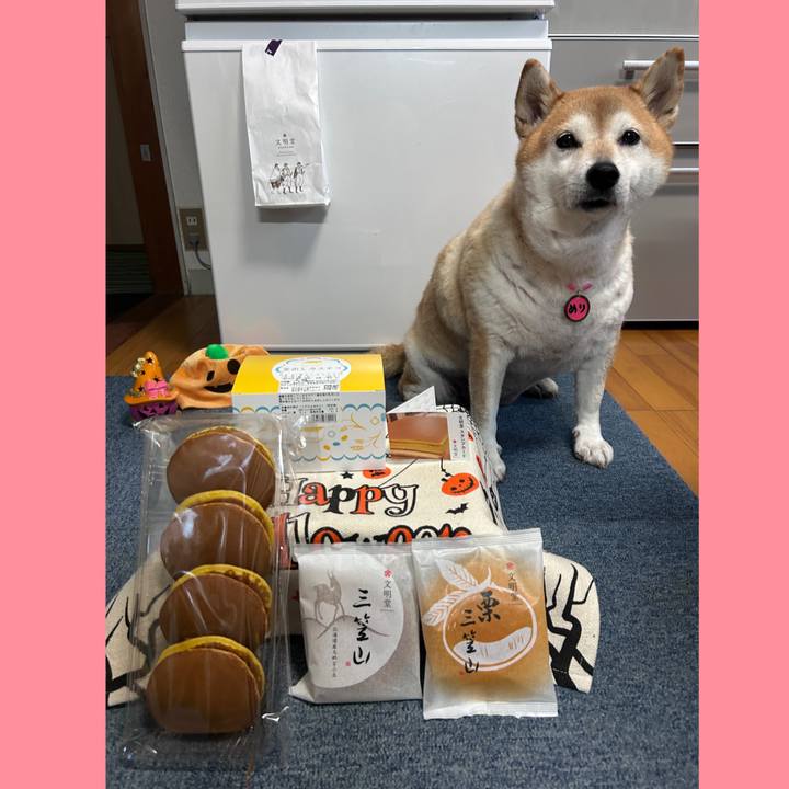 0382e309 aef8 4332 9d01 aeeb6aacecf2 1728806508668