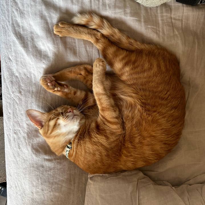 0382e5ef b817 4178 8a33 f4971e213f82 1674248235259