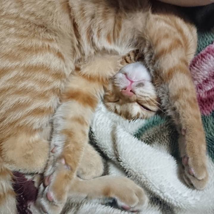 038329e7 8c92 49b1 b687 322d895248c8 1636201251969