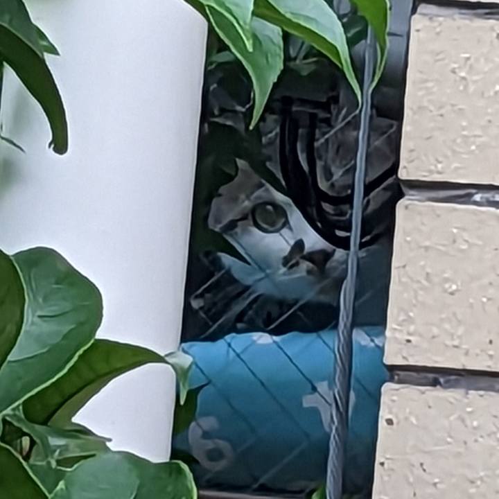 03834e0b 76a7 431b 8571 3118e4dda064 1685486658552