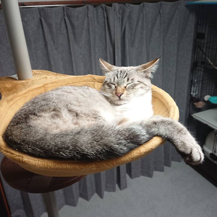 03835664 62c6 4752 8199 6e290f2d8a83 1528633261146