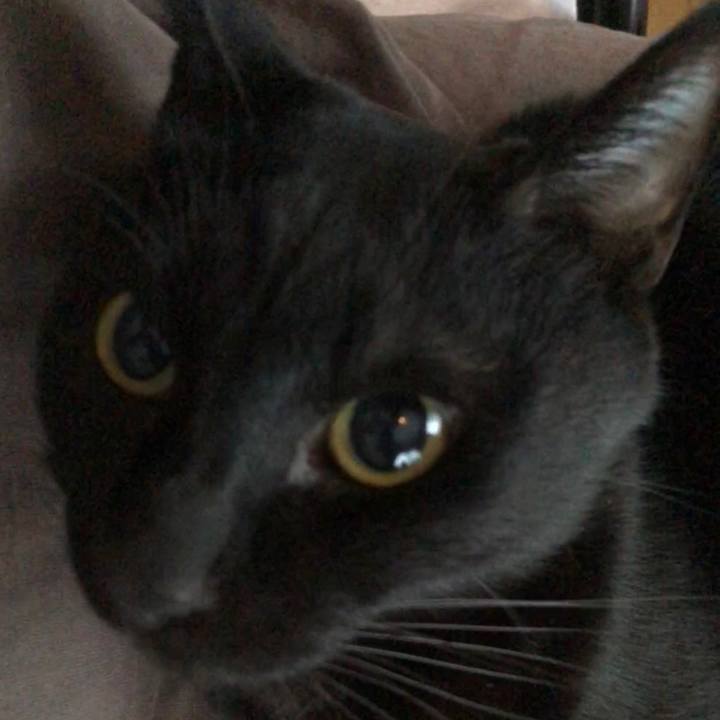 0383b48d e60a 4612 a84d 90fa561055f0 1700863748214