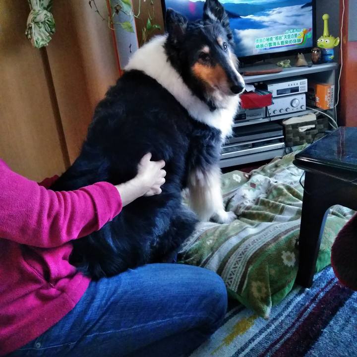 0383ea56 2d0f 48a9 956f 19af0958b21b 1542628514660