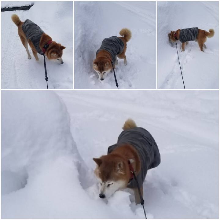 0383ee6b 2b3f 4516 a90f 8a157d937ef3 1740367433071