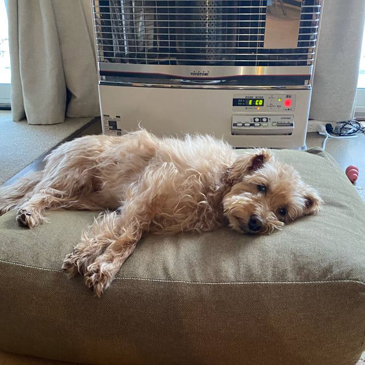 03847390 0d89 4e1d 8298 6e2e802bef71 1707690357273