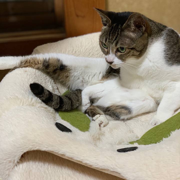 03848397 6249 4553 8fa9 4226156e53a0 1555896502175