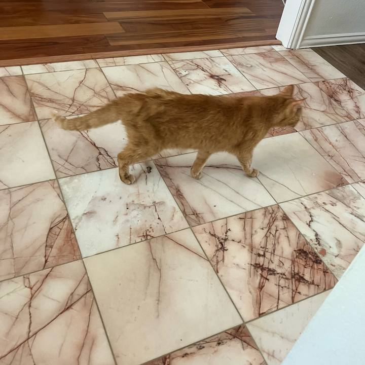 03848f62 f757 481d a060 480acf518abb 1744581854511