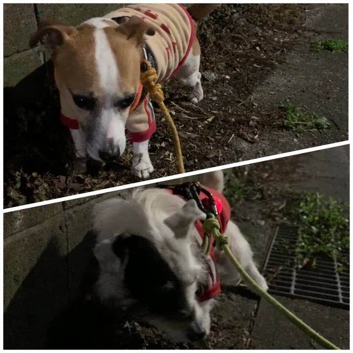 03848fa6 f629 434a b635 e5846f936970 1582547376535