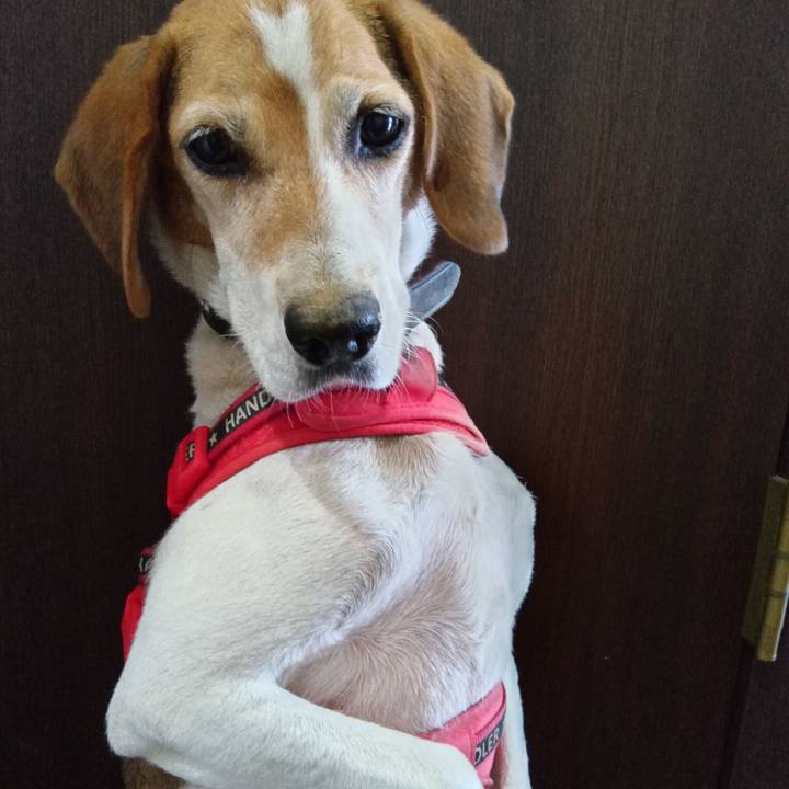 0384a61a 5aa9 4e51 88ce 2d1002e82d7e 1725971508816